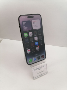 photo_2026-03-31_10-13-40