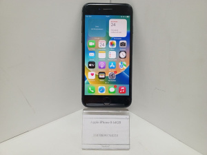 photo_2026-03-31_13-25-28