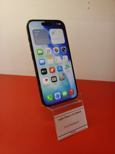 photo_2026-03-31_16-22-50